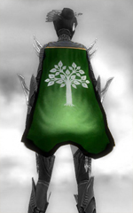 Guild Aegis Organization cape.jpg