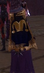 Guild Husaria Pol cape.jpg