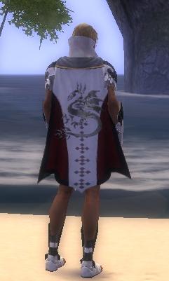 Guild Reign Of Shadows cape.jpg