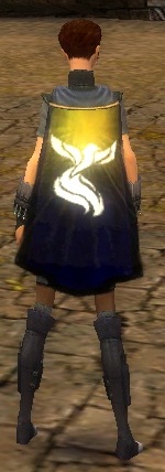 Guild Disciples Of Vengeance cape.jpg