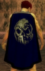 Guild Grenths Helpdesk Cape Image.jpg