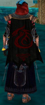 Guild The Bruv Squad cape.jpg