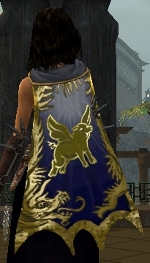 Guild Clan Union cape.jpg