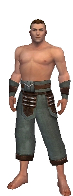 Monk Censor armor m gray front arms legs.jpg