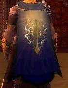 Guild The Yellow Turban Rebellion cape.jpg