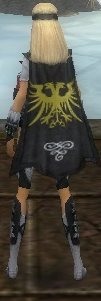 Guild League Of Draconosis cape.jpg