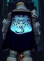 Guild Ancient Shaolin Guardians cape.jpg