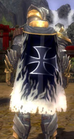 Guild Prisoner Of Wars cape.jpg