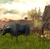 Zaishen Menagerie outpost.jpg