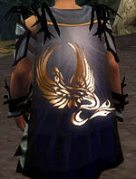 Guild Guild Of Dragon And Phoenix cape.jpg