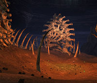 Arachni Haunt level 2 bone pit.jpg