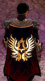 Guild Thunder Projeckt cape.jpg