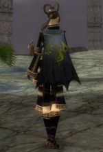 Guild Elite Golden Dragons cape.jpg