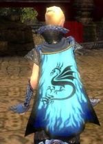 Guild Immortal Dragoons cape.jpg