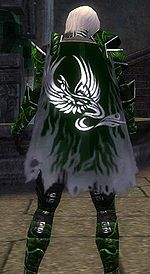 Guild Ravens Blazing Dragons cape.jpg