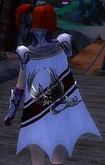 Guild Knights Of Ravens War cape.jpg