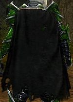 Guild Desktop Soldiers cape.jpg