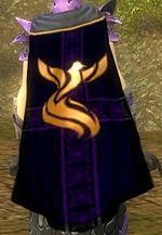 Guild Twilight Brigade Nine cape.jpg