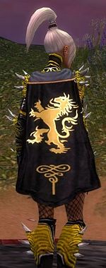 Guild The Resurrected Lions cape.jpg