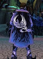 Guild The Banished Brotherhood cape.jpg