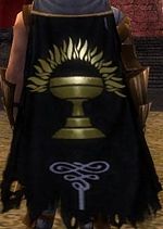 Guild Wars Of Light cape.jpg