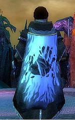 Guild The Vanquishers Of The Night cape.jpg