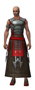 Dervish Deldrimor armor m.jpg