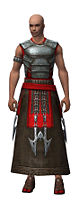 Dervish Deldrimor armor m.jpg