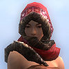 Festive Winter Hood f.jpg