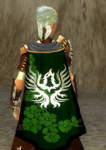 Guild Order Of The Greene Raven cape.jpg