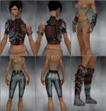 Ranger Obsidian armor f silver overview.jpg