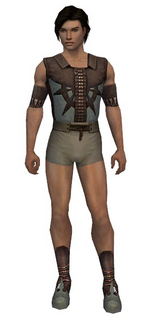 Dervish Elite Sunspear armor m gray front chest feet.png