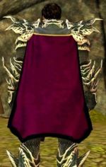 Guild Legio Romana Cape.jpg