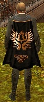 Guild Castle Gate Freedom Force cape.jpg