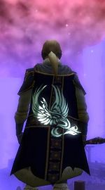 Guild Destiny Of Awakening cape.jpg