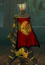 Guild Electronic Voice Phenomenon cape.jpg