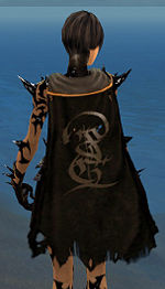 Guild Descendants of Ancaria cape.jpg