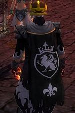 Guild The Elite Dervish Guild cape.jpg