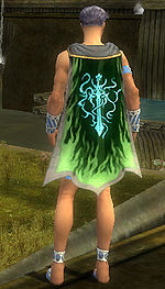 Guild Wasabi Whisky Warriors cape.jpg