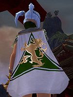 Guild The Lion Mercinaries cape.jpg