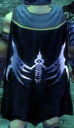 Guild Knights Of Satans Service cape.jpg