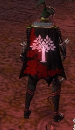 Guild The Scarlet Heart cape.jpg