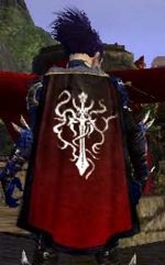 Guild Thy Vein Of Pains Brotherhood cape.jpg