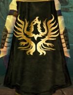 Guild-Order Of The Nameless-Cape.jpg