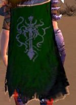 Guild The Necromonger Nation cape.jpg