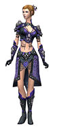 Elementalist Elite Stoneforged armor f.jpg