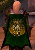 Guild Lothlorien Wraiths cape.jpg