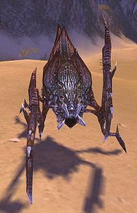 Rock-Eater Scarab.jpg