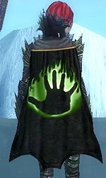 Guild Fremen Tribe cape.jpg