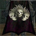 Guild Guild Of Grocks cape.jpg